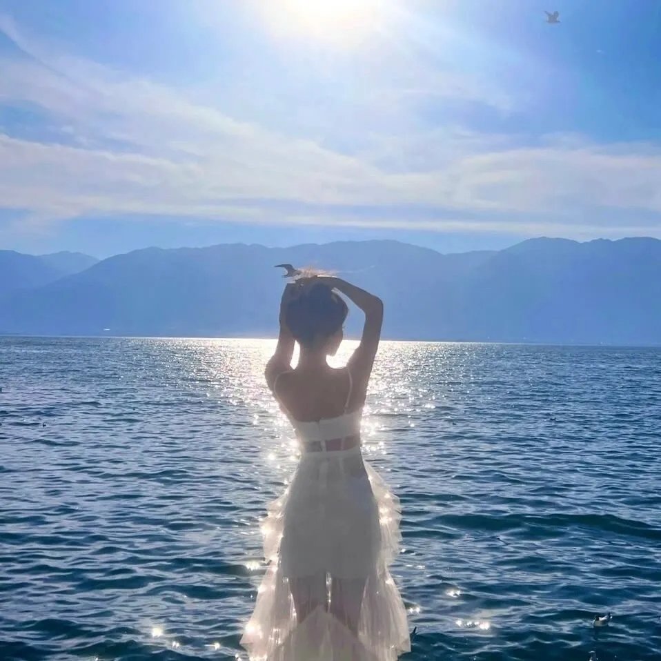 重回高考后我选择表白社恐校花